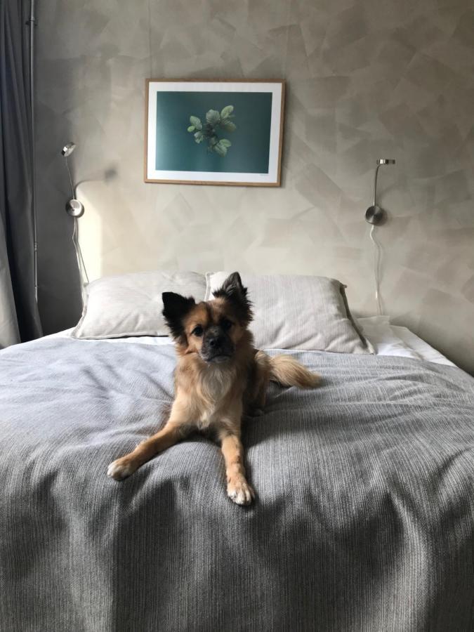 Noli Soernaeinen Hotel Helsinki Eksteriør billede